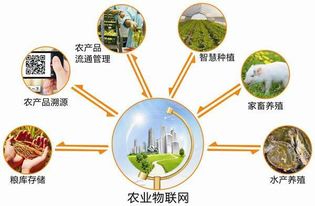 2017安徽農(nóng)業(yè)物聯(lián)網(wǎng)展會 推動物聯(lián)網(wǎng)技術研發(fā)與農(nóng)業(yè)現(xiàn)代化